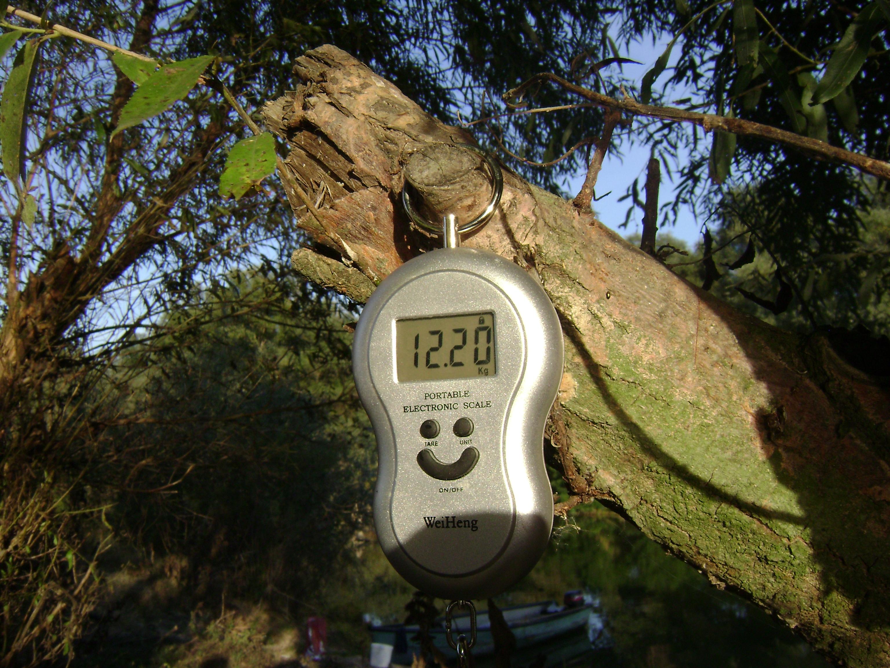 delta octombrie 2012 - delta octombrie 2012 034.JPG